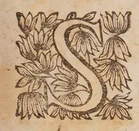 An illustration from L'examen des esprits povr les sciences, ou se monstrent les differences d'esprits, qui se trouuent parmy les hommes, & a quel genre de science chacun est propre en particulier (1645)