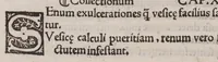 Picture 7 of 8 from Anatomice sive historia corporis humani. Ejusdem collectiones medicinales seu aforismi (1514), leaf 168
