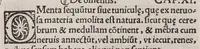 An illustration from Anatomice sive historia corporis humani. Ejusdem collectiones medicinales seu aforismi (1514)