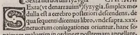 An illustration from Anatomice sive historia corporis humani. Ejusdem collectiones medicinales seu aforismi (1514)