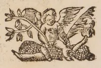 An illustration from De balsamo dialogus. In quo verissima balsami plantae, opobalsami, carpobalsami, et xilobalsami cognitio plerisque antiquorum atque juniorum medicorum occulta nunc elucescit ... (1591)