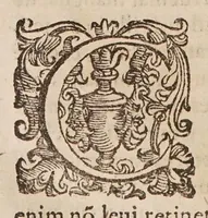An illustration from De morbis communibus liber. Ejusdem tractatus de variolis, et appendix ad librum de morbis communibus in quo agitur de causa praesentis tempestatis ... (1596)