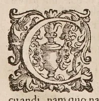 An illustration from De morbis communibus liber. Ejusdem tractatus de variolis, et appendix ad librum de morbis communibus in quo agitur de causa praesentis tempestatis ... (1596)