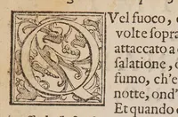 An illustration from Secreti bellissimi del cavaliere G.M. Bonardi [sic] Frateggiano, doue si contengono varii effetti dalla natura prodotti (1603)