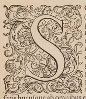 An illustration from Enarratio in legem unicam de professoribus qui in urbe Constantinopolitana libro XII C. Quae fuit ab eodem veste purpurea ornato die quarta Januarii M D LVIII (1558)