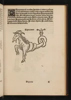 Picture 16 of 21 from Higinius de stellis (1513), leaf 75