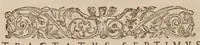 An illustration from Chirurgia magna (1585)