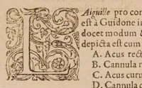 An illustration from Chirurgia magna (1585)