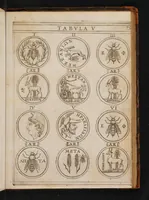 Picture 17 of 18 from Symbolica Dianae Ephesiae statua ... exposita (1657), leaf 111