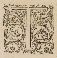 Picture 3 of 3 from Quadripartitum melancholicum ... Quo variae quaestiones de melancholiae morbo, essentia, differentiis, causis, prognosi, curatione habentur. Et plura de morbo hypocondriaco ... innotescunt ... (1644), leaf 117