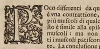 An illustration from La commare o raccoglitrice ... divisa in tre libri (1676)