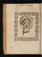 Picture 6 of 13 from La commare o raccoglitrice dell' eccellentissimo signor Scipion Mercurio ... divisa in tre libri (1654), leaf 160