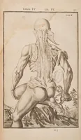 An illustration from Opera quae extant omnia (1645)