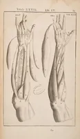 An illustration from Opera quae extant omnia (1645)