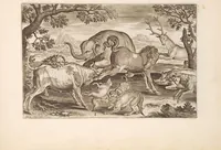 Picture 1 of 15 from Animalium quadrupedum omnis generis verae et artificiosissimae delineationes in aes (1612), leaf 13