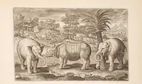 Picture 2 of 15 from Animalium quadrupedum omnis generis verae et artificiosissimae delineationes in aes (1612), leaf 15