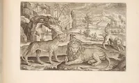 An illustration from Animalium quadrupedum omnis generis verae et artificiosissimae delineationes in aes (1612)