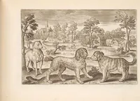 An illustration from Animalium quadrupedum omnis generis verae et artificiosissimae delineationes in aes (1612)