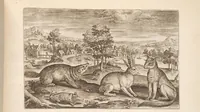 An illustration from Animalium quadrupedum omnis generis verae et artificiosissimae delineationes in aes (1612)