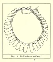 Picture 4 of 19 from Baessler-Archiv (1910), leaf 11