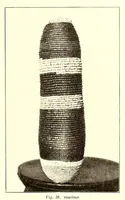 Picture 11 of 19 from Baessler-Archiv (1910), leaf 29