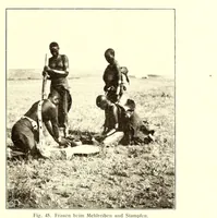Picture 13 of 19 from Baessler-Archiv (1910), leaf 43