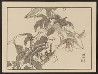 An illustration from Bairei gafu (1905)