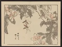 An illustration from Bairei gafu (1905)