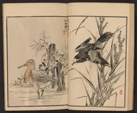 An illustration from Bairei hyakuchō gafu (1884)