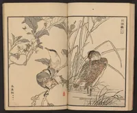 An illustration from Bairei hyakuchō gafu (1884)