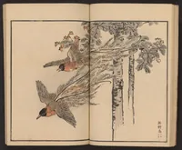 An illustration from Bairei hyakuchō gafu (1884)
