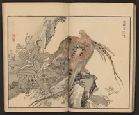 An illustration from Bairei hyakuchō gafu (1884)