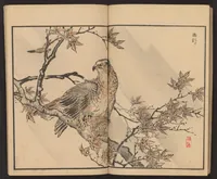 An illustration from Bairei hyakuchō gafu (1884)