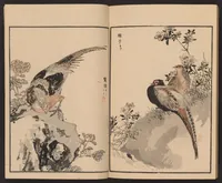 An illustration from Bairei hyakuchō gafu (1881)