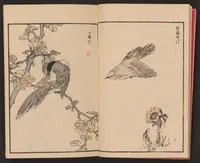 An illustration from Bairei hyakuchō gafu (1881)