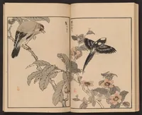 An illustration from Bairei hyakuchō gafu (1881)