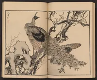 An illustration from Bairei hyakuchō gafu (1881)