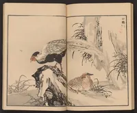 An illustration from Bairei hyakuchō gafu (1881)