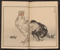 An illustration from Bairei hyakuchō gafu (1881)