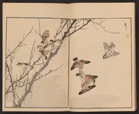 An illustration from Bairei hyakuchō gafu (1881)
