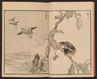 An illustration from Bairei hyakuchō gafu (1881)