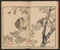 An illustration from Bairei hyakuchō gafu (1884)