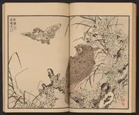 An illustration from Bairei hyakuchō gafu (1884)