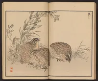 An illustration from Bairei hyakuchō gafu (1884)