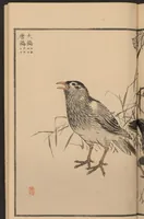 An illustration from Bairei hyakuchō gafu (1884)