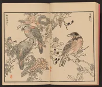 An illustration from Bairei hyakuchō gafu (1884)