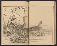 An illustration from Bairei hyakuchō gafu (1884)