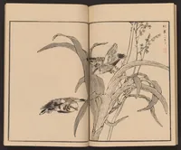 An illustration from Bairei hyakuchō gafu (1881)