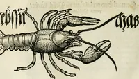 Picture 6 of 26 from Bairische Lanndtsordnung (1553), leaf 333