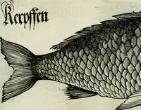 Picture 7 of 26 from Bairische Lanndtsordnung (1553), leaf 334
